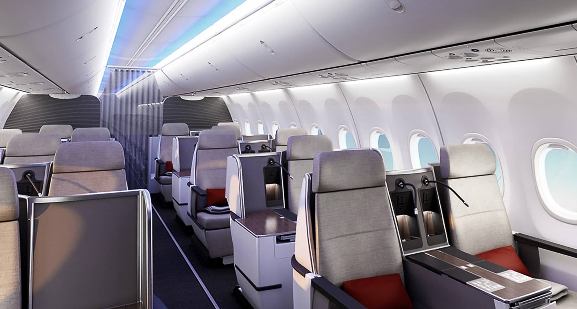 Image of Large Jets Boeing 737